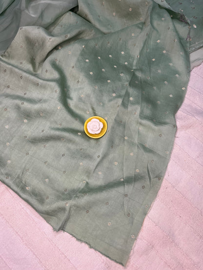 Crepe Organza Handpainted Saree with Embroidery- Rama Green