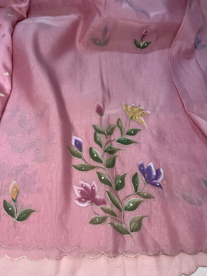 Crepe Organza Handpainted Saree with Embroidery- Baby Pink