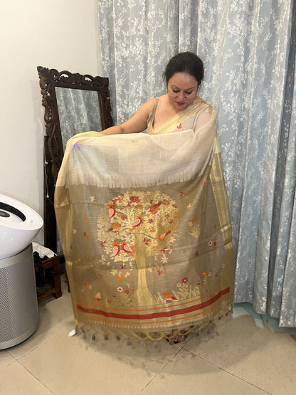 Chanderi Cotton Jamdani Saree - Ivory-Brown Bageecha